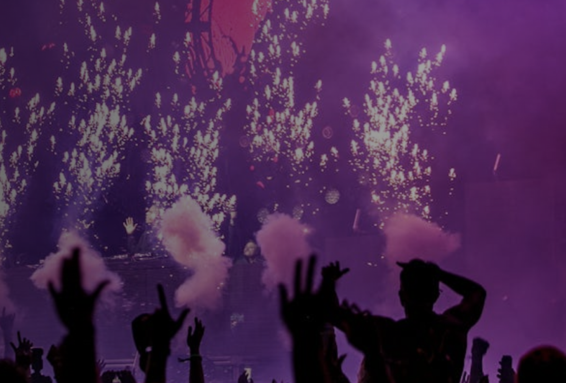 Concert crowd