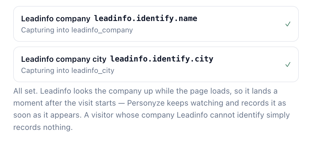 Leadinfo fields capturing into Personyze visitor attributes